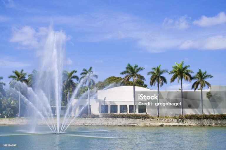 Hotels Near the University of Miami: Discovering guide